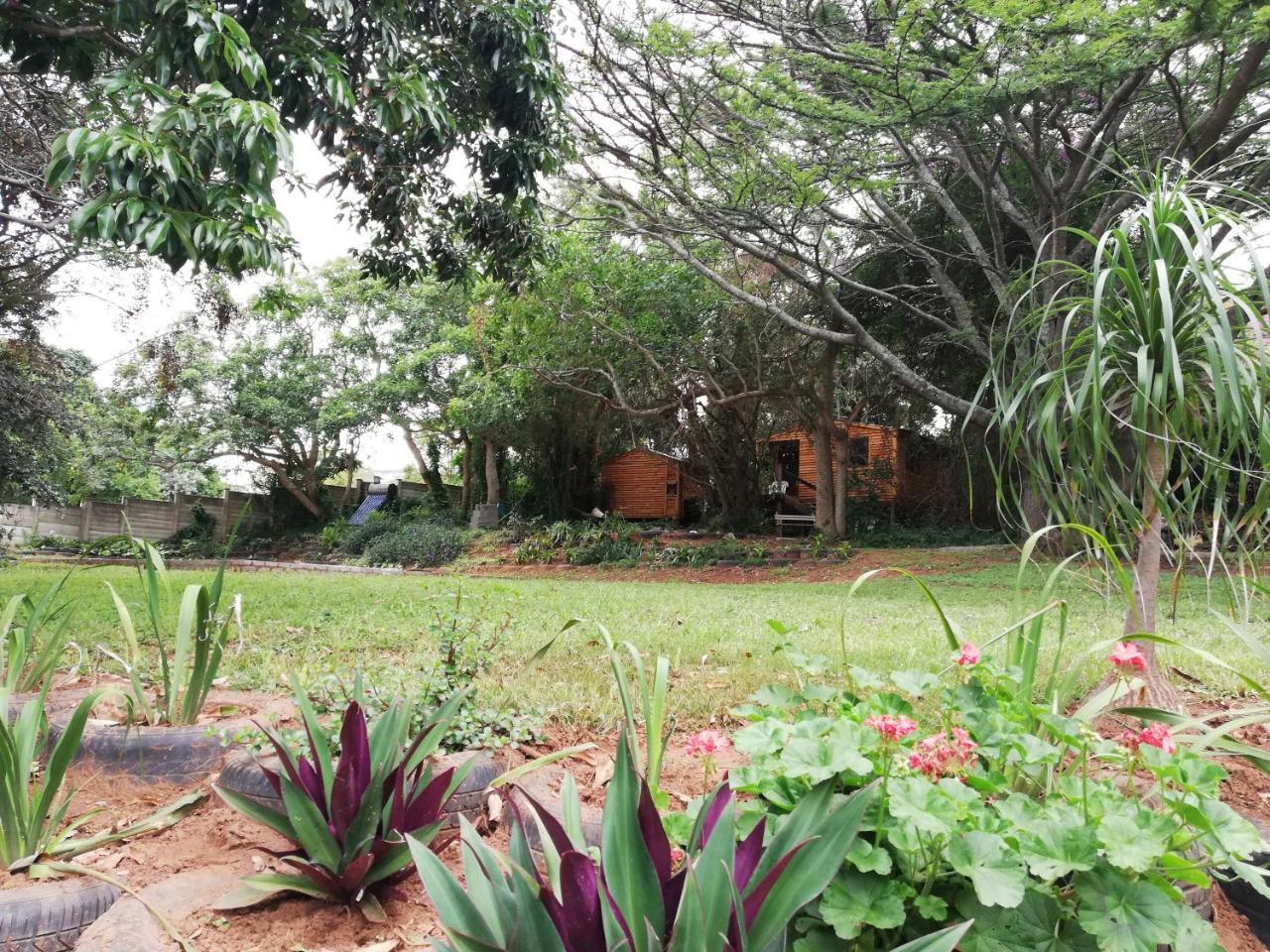 Beach Wood Cottages Shelly Beach Kültér fotó
